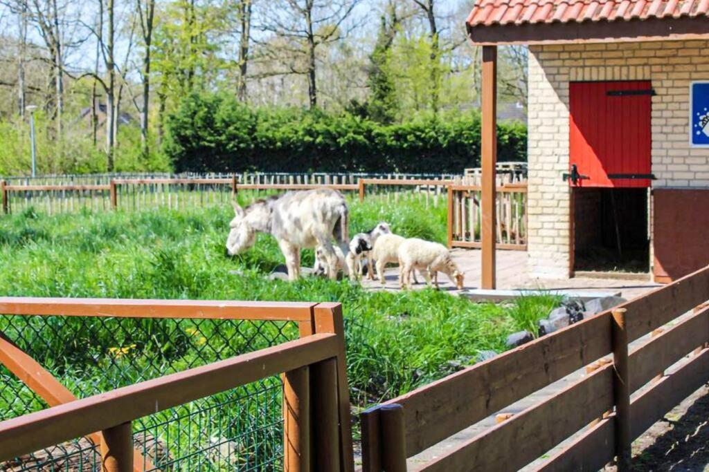 Tof Wellness Huis, Alles Nieuw, Gelegen Bij Meer. Ewijk Dış mekan fotoğraf